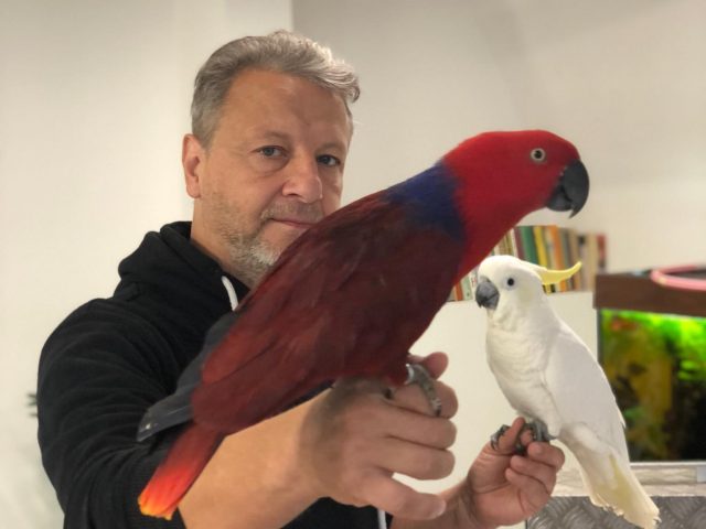 Papouškové a jejich život