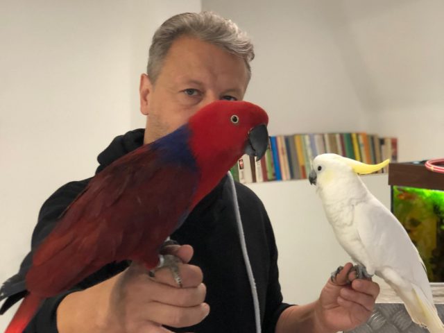 Papouškové a jejich život